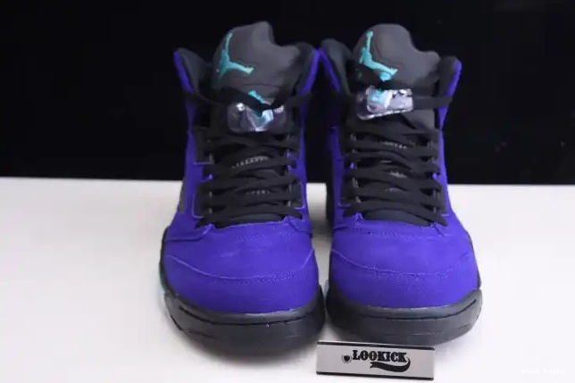 Cheap Air 136027-500 Retro Jordan Grape 5 Alternate 0507